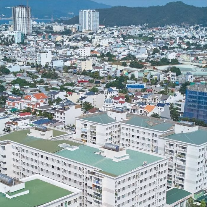 1 20240821142910146 avatar 1x1 20240821145558179